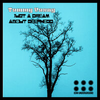 Just a Dream About Deepness - Tommy Young & Zoltan Solomon
