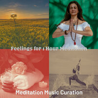 Cultivated Moods for Meditation Therapy - Meditation Music Curation