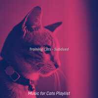 Inspiring (Kittens) - Music for Cats Playlist