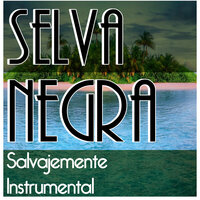 Tonchin - Selva Negra