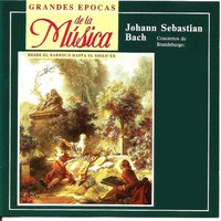 Brandenburg Concerto No. 1 in F Major, BWV 1046: V. Polacca - Johann Sebastian Bach & Ars Rediviva