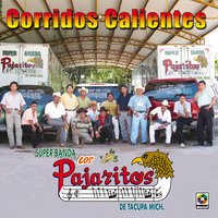 Corrido Del Guero Vargas - Los Pajaritos De Tacupa