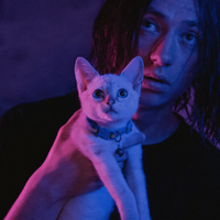 Котёнок - YOUNG LARI