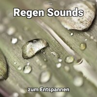 Tanzen und Ruhe - Olaf Niggl