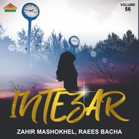 Na Darzam Pa Stargo Ke Loysha - Zahir Mashokhel & Raees Bacha