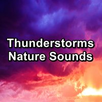 Sun on a Rainy Day with Thunder - Calming Sounds & Thunderstorm & Thunderstorms
