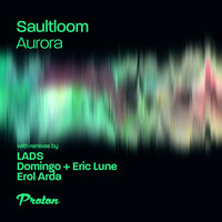 Aurora - Saultloom