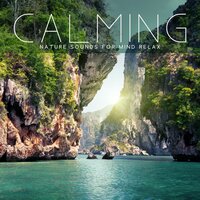 Raining Outside - Tranquil Sounds of Nature