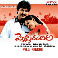 Ide Manchi Roju - S. P. Balasubramanyam & Sujatha