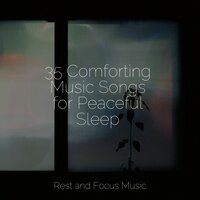 A Stroll in Winter - White Noise Relaxation & Exam Study Classical Music Orchestra & Guided Meditation