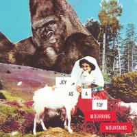 Cowboy Mode - Joy As A Toy