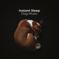 Anti Anxiety Zone - Pet Music Academy