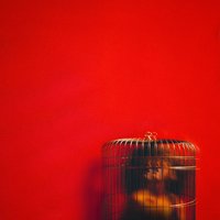Sunday - Eryn Allen Kane