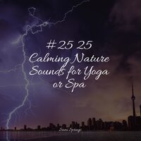 White Noise Rain in the River - Ambient Nature White Noise & Meditation Awareness & Binaural Creations
