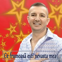 Ti-As Da Viata Gram Cu Gram - Calin Crisan