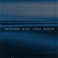 Where Are You Now - plenka