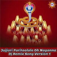 Jujjuri Paritaalalo Oh Naganna - Peddapuli Eshwar