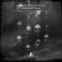 Concept Raw - Marco Volpicelli & Erik Yahnkovf