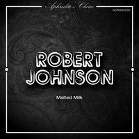 Phonograph Blues - Robert Johnson