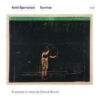 Stupet - Ketil Bjørnstad