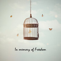 Wishes of Freedom - Boztown