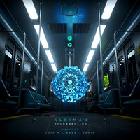 Reconnection - Kleiman & Vazik