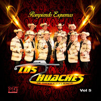 Maldito Amor - LOS HUACHES DE TIERRA CALIENTE