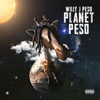 Fake Bags - Willy J Peso