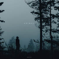 Arteries - Brook