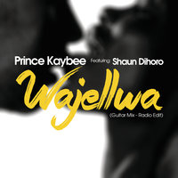 Wajellwa - Prince Kaybee & Shaun Dihoro