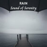 Tranquility Rain - Forest Rain FX & Gentle Rain Makers & Meditation Rain Sounds