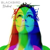 Sinner - Blackbird