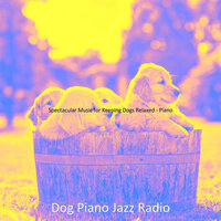Background for Relaxing Dogs - Dog Piano Jazz Radio