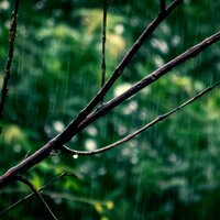 心情好 - 纯音乐盒