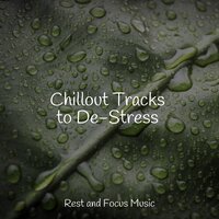 Play with the Music - Exam Study Classical Music & The Relaxation Principle & ZEN