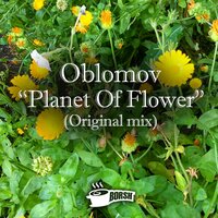 Planet Of Flower - Oblomov
