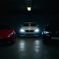 BMW - IIIROSE & CVRBON