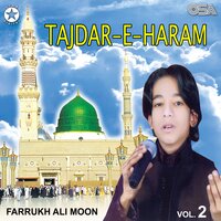 Tera Mangta Na Dar Badar Jaye - Farrukh Ali Moon
