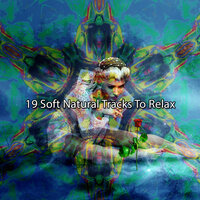 Природный заповедник - Sounds Of Nature Relaxation