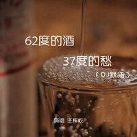 62度的酒37度的愁 - 王梓屹 & DJ默涵