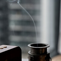 铿锵玫瑰 - 杨箐
