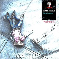 Maximum Height - Ambrela