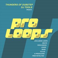 Thunders of Dubstep Key 128 - Patrick Seeker