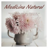 Inteligencia Emocional - Musica Tranquila Maestro