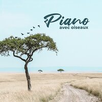 Chanson de silence - Ensemble de Musique Zen Relaxante