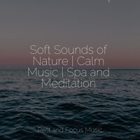 Drifting Mystic - Kinderlieder-Superstar & Asian Zen: Spa Music Meditation & Sleep Music