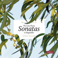Bagatelles, Op. 126: No. 1, Andante - Josep Colom & Ludwig van Beethoven