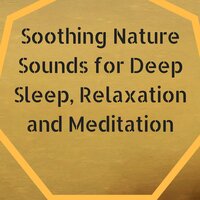 Yoga (Chakra Balancing) - Soothing Music for Sleep Academy