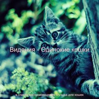 Мечты (Котята) - Музыка для кошек