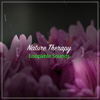 Study Sounds for Concentration - Rain Sound Studio, Relaxing Music Therapy, Loopable Sounds for Babies & Relaxing Music Therapy & Rain Sound Studio & Loopable Sounds for Babies